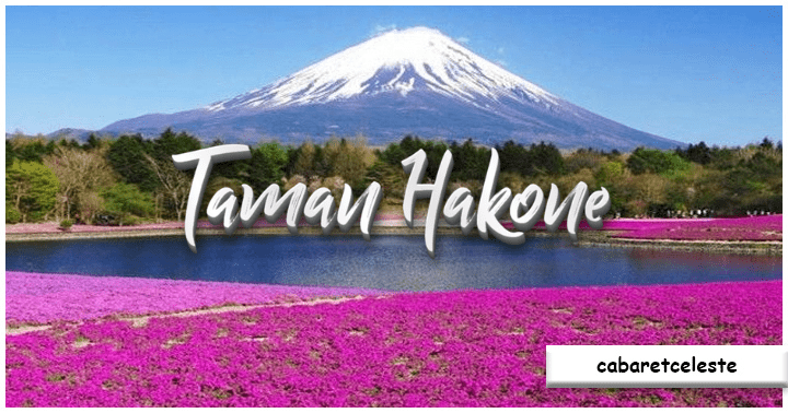Taman Nasional Hakone